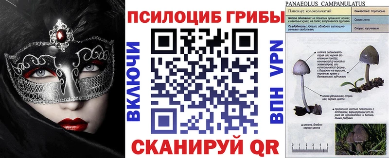хочу   Агидель  Псилоцибиновые грибы Cubensis 